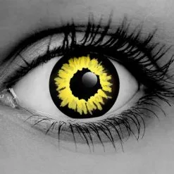 Black Wolf Contact Lenses – Gothika – Pair