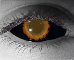 Creeper Sclera Contact Lenses 22mm – Gothika Custom – Pair