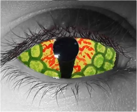 Dragon Sclera Contact Lenses 22mm โ Gothika Custom โ Pair