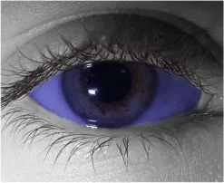 Dune Sclera Contact Lenses 22mm – Gothika Custom – Pair