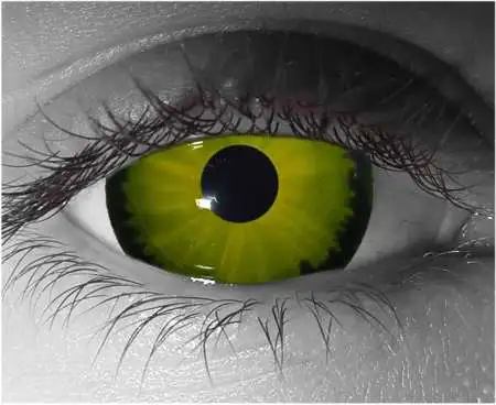 Gorgon Sclera Contact Lenses 18mm β Gothika Custom β Pair