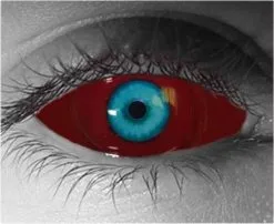 Kakuzu Sclera Contact Lenses 22mm – Gothika Custom – Pair