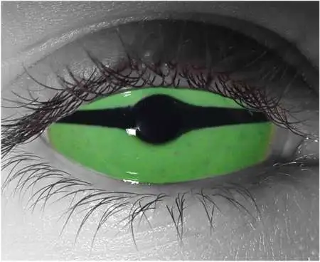 Slither Sclera Contact Lenses 22mm β Gothika Custom β Pair