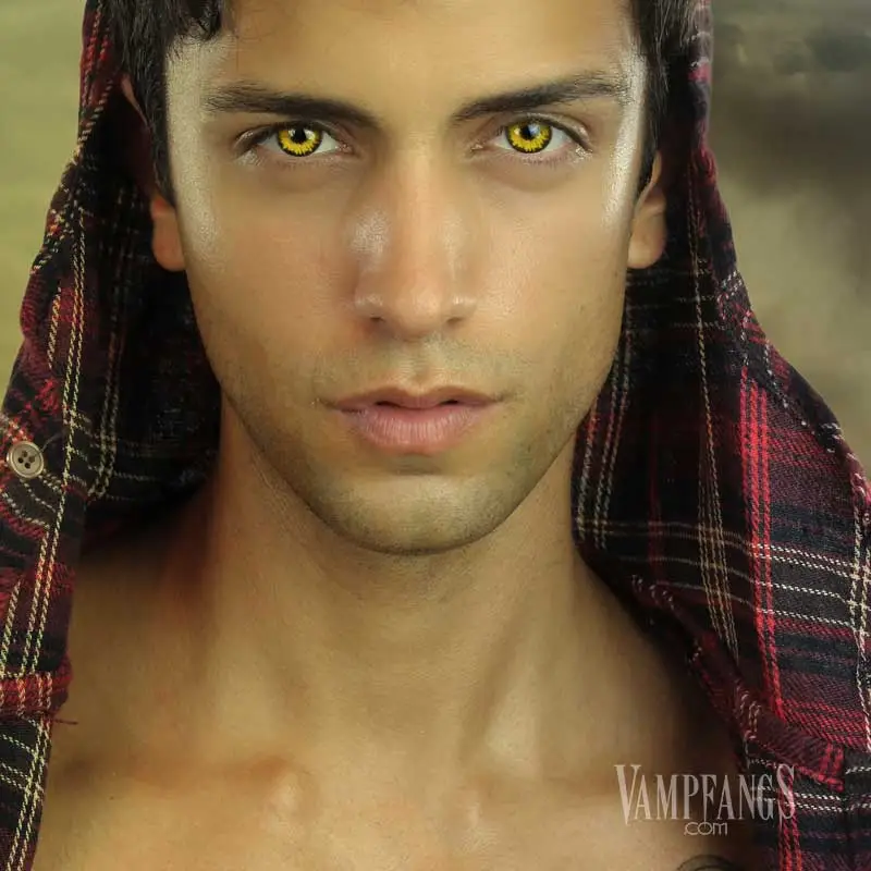 Black Wolf Contact Lenses β Gothika β Pair - Image 2