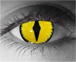 Viral Corneal Contact Lenses – Gothika Custom – Pair