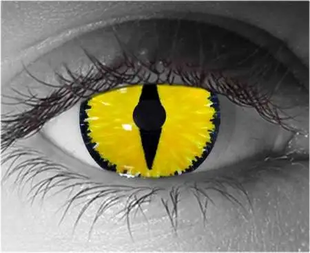 Viral Corneal Contact Lenses โ Gothika Custom โ Pair