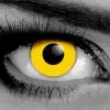 GOTHIKA Yellow Zombie FX Contact Lenses – Pair