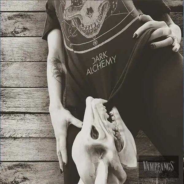 Dark Alchemy Life Eternal Tee - Image 5