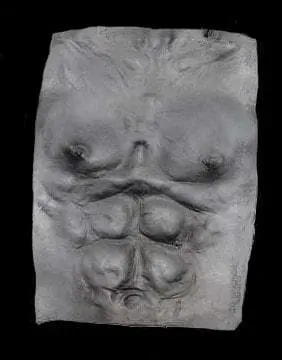 Morris "Werewolf Chest Plate - Grey" Halloween Costume Accessory